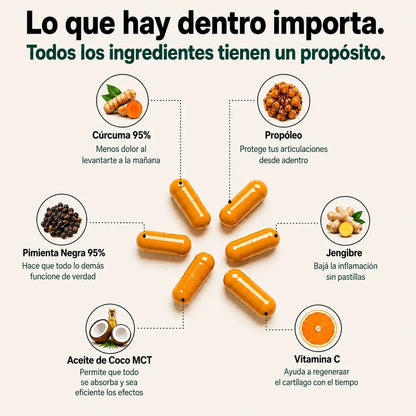 Cápsulas de Cúrcuma | Triple Acción Antiinflamatoria